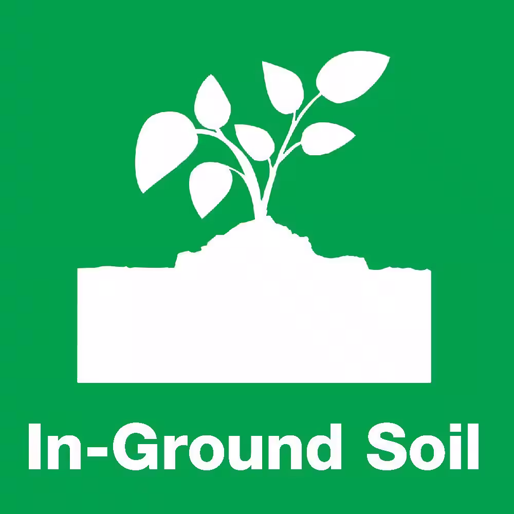 Vigoro 1 cu. ft. All Purpose Garden Soil for In-Ground Use for Fruits, Flowers, Vegetables and Herbs