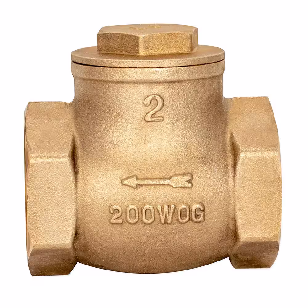 EZ-FLO 2 in. Brass Swing Check Valve