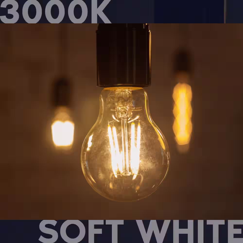 None 100-Watt Equivalent A19 1600 Lumens Dimmable E26 Edison LED Light Bulb 12-Watt Damp Rated UL 3000K Soft White (2-Pack)
