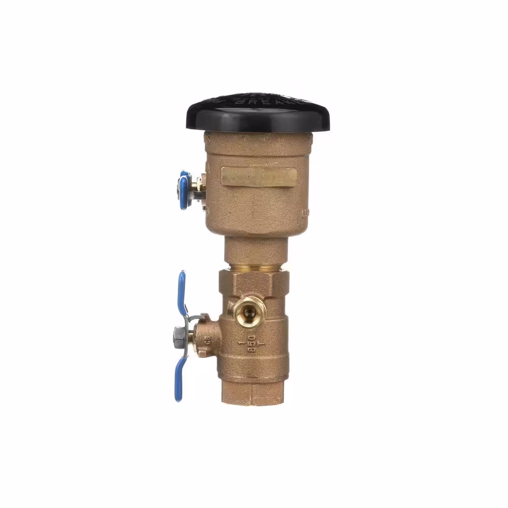 Wilkins 1-1/4 in. 720A Pressure Vacuum Breaker Assembly