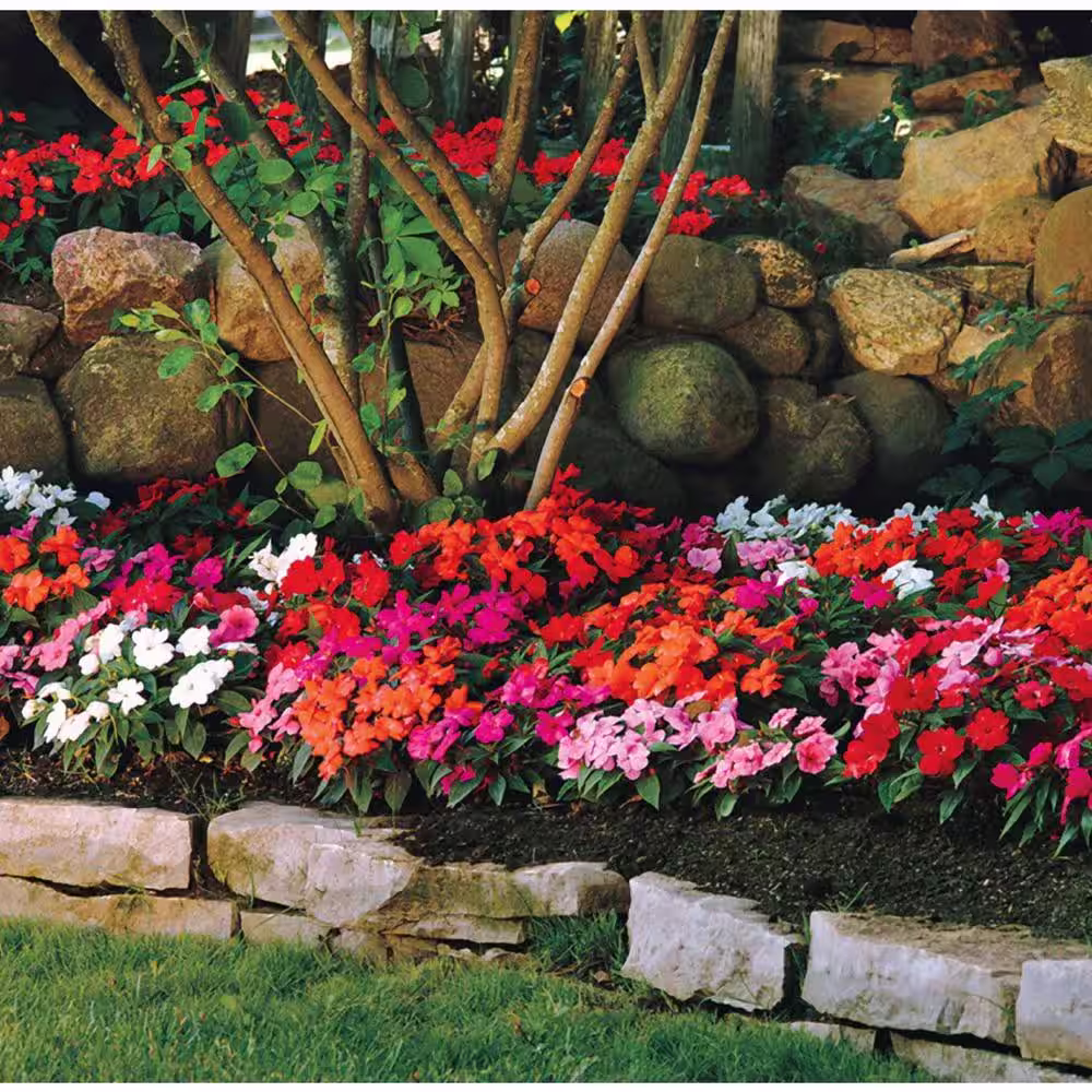 Pure Beauty Farms Grower's Choice Garden Potting Soil Sunpatien New Guinea Impatien 1.25 cu. ft. Flowering Mix