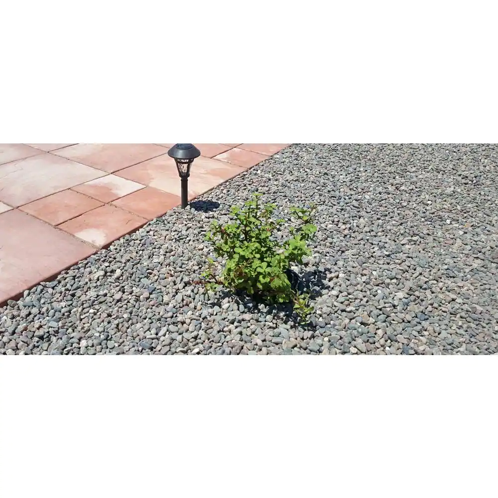 Classic Stone 10 cu. ft. Pea Pebbles Assorted Decorative Stone - (1 Bag/10 cu. ft./Pallet)