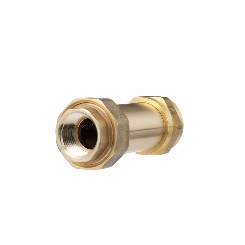 Watts 1 in. Lead-Free Brass MPT Dual Check Valve