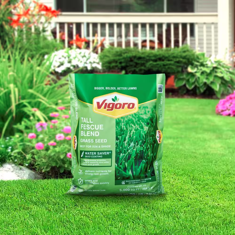 Vigoro 20 lbs. Tall Fescue Grass Seed Blend with Water Saver Seed Coating