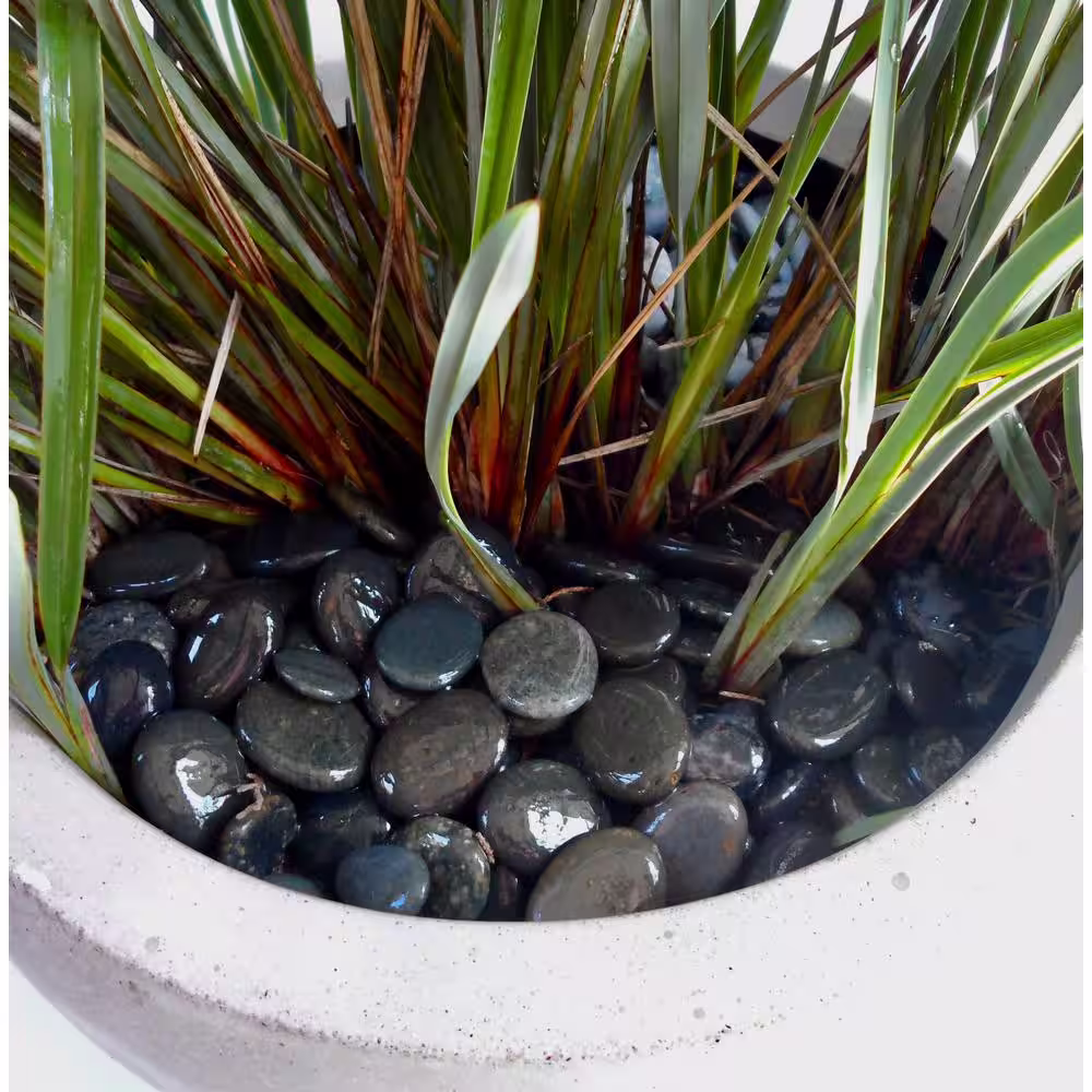 None Rock Ranch 0.25 cu. ft. 20 lbs. 5/8 in. to 1 in. Black Mexican Beach Buttons Landscaping Pebble