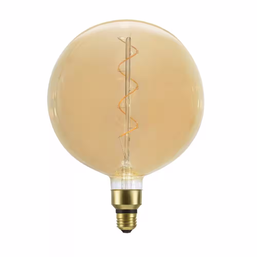 Aspen Creative Corporation 40-Watt Equivalent G200 Vintage Edison Decorative LED Light Bulb Amber (1-Bulb)