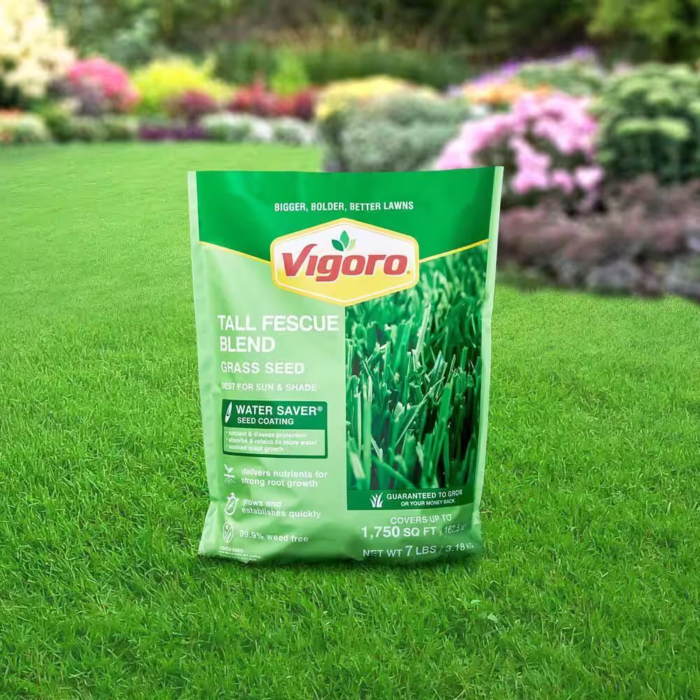 Vigoro 7 lbs. Tall Fescue Grass Seed Blend with Water Saver Seed Coating