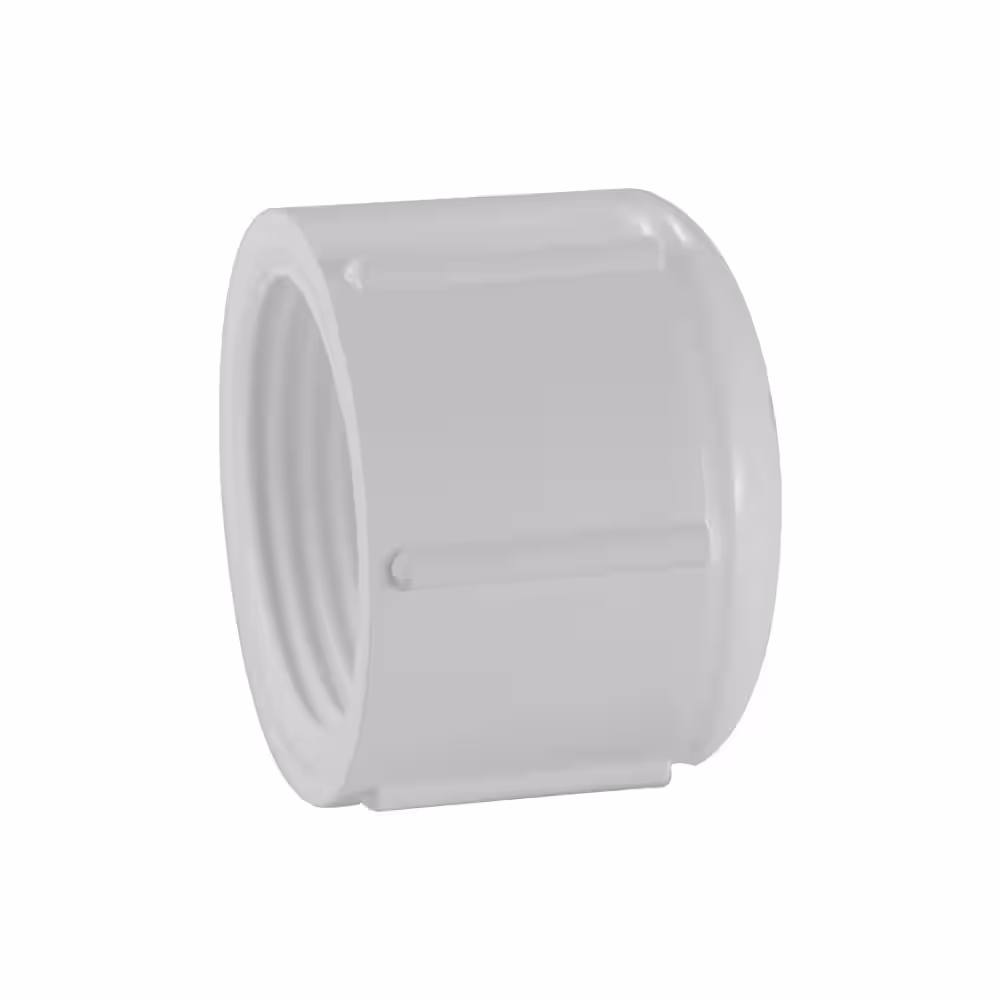 VPC 1/2 in. FPT Schedule 40 PVC Cap
