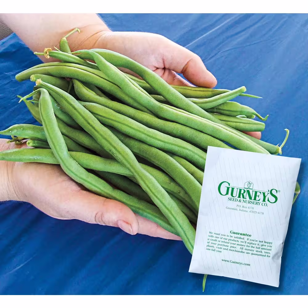 Gurney's Bush Bean The Hulk Vegetable Seed (2 oz. Packet)
