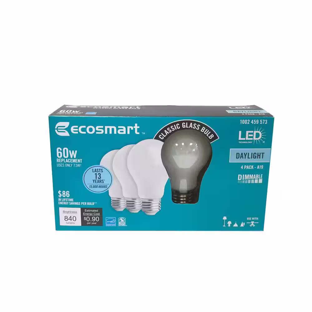 EcoSmart 60-Watt Equivalent A19 Dimmable Energy Star Frosted Filament LED Light Bulb Daylight (4-Pack)