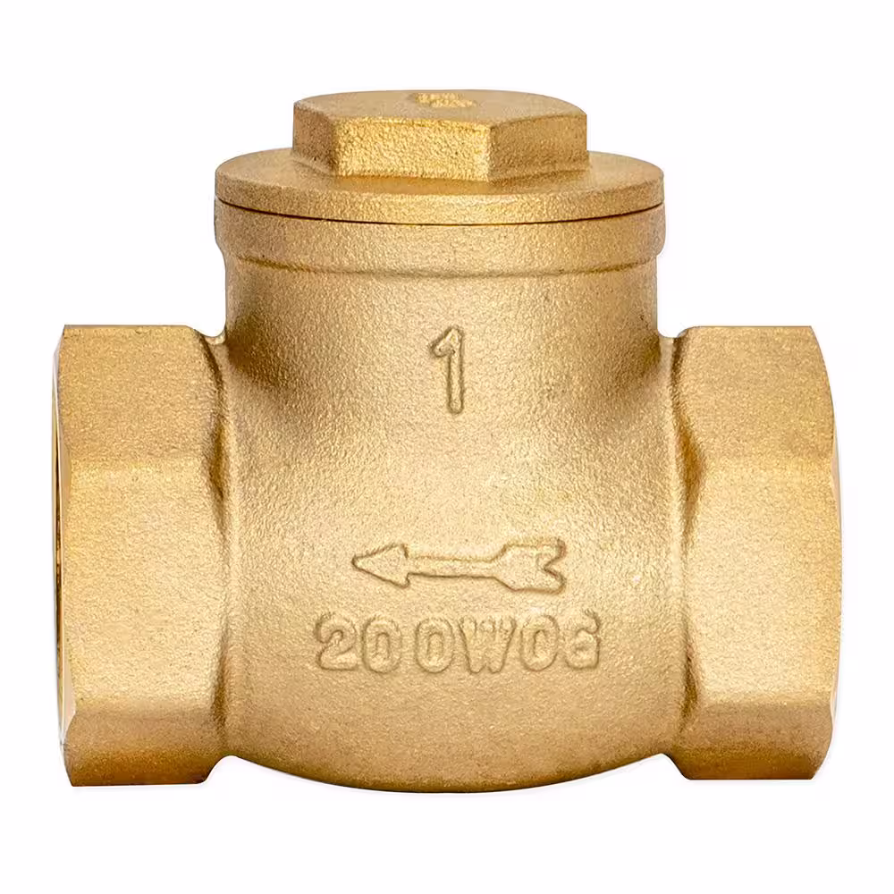 EZ-FLO 1 in. Brass Swing Check Valve