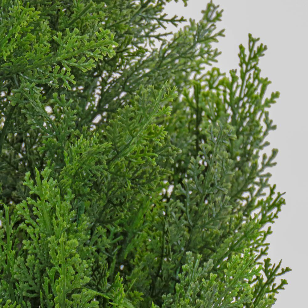 National Tree Company 50
