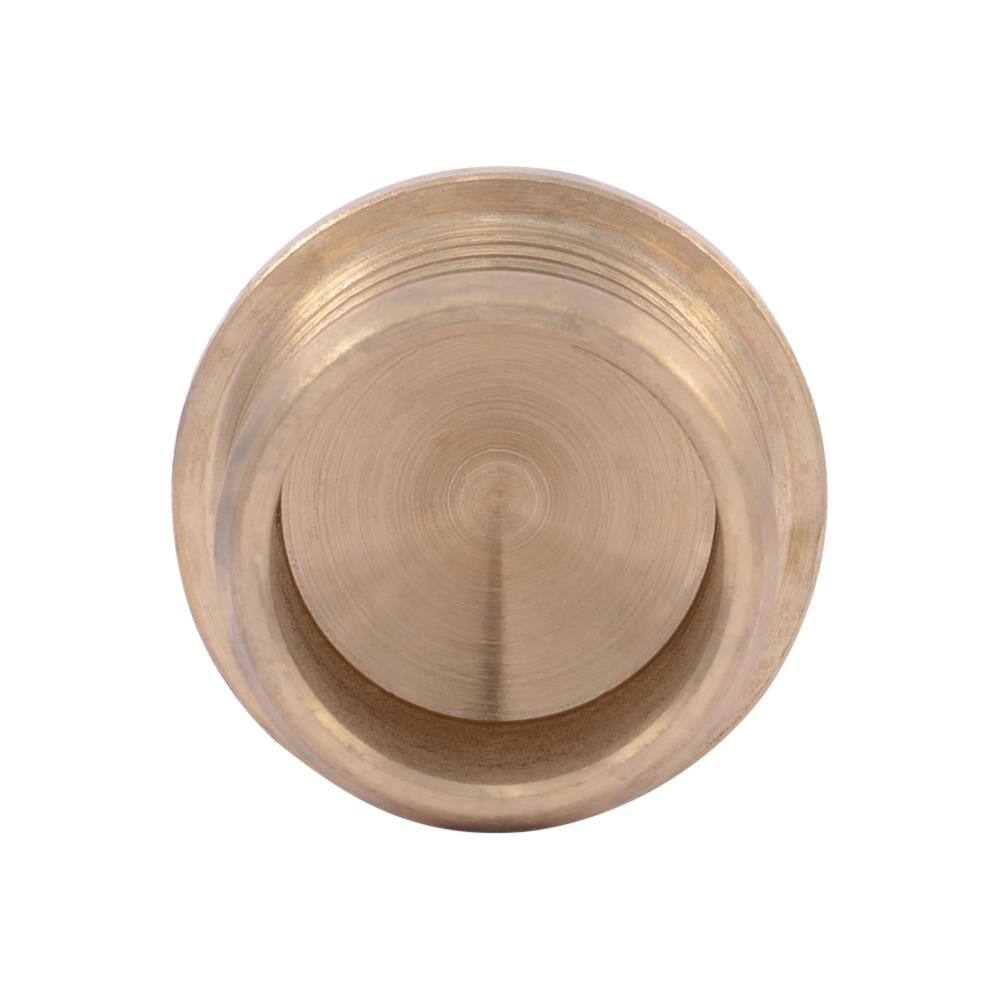 SharkBite 3/4 in. PEX Barb Brass Plug (Bag of 25)