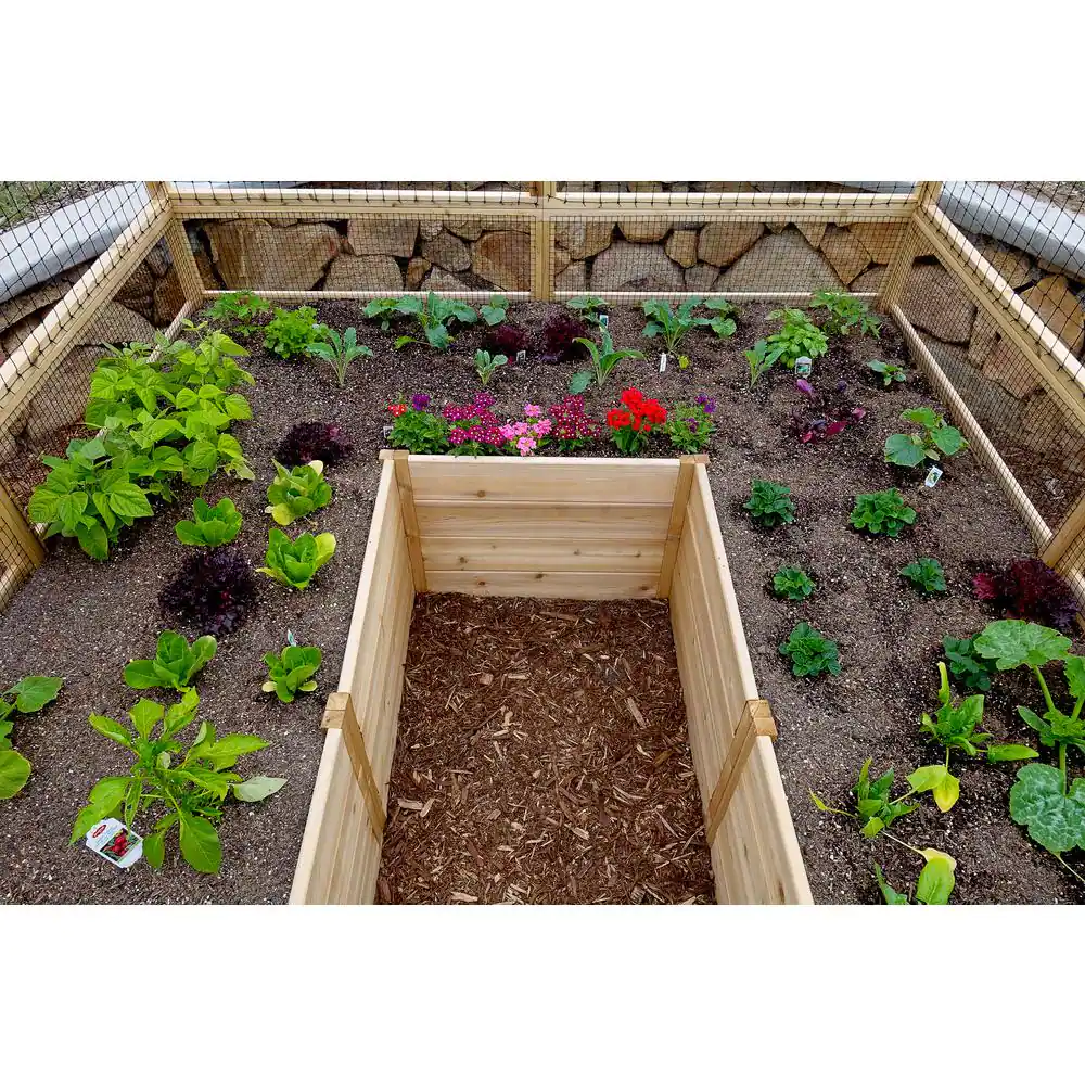 Outdoor Living Today 8 ft. x 8 ft. Garden in a Box with Deer Fencing