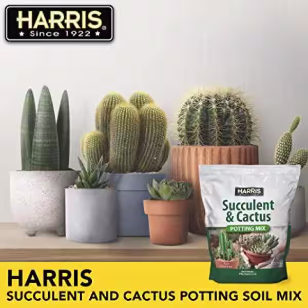 Harris 4qt. Succulent and Cactus Potting Soil Mix (4-Pack)