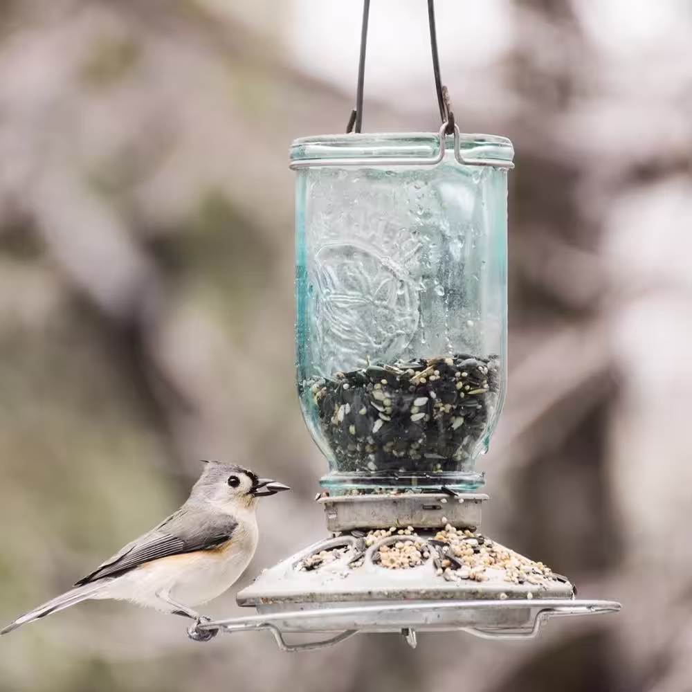 Perky-Pet Blue Mason Jar Decorative Glass Hanging Bird Feeder - 1 lb. Capacity