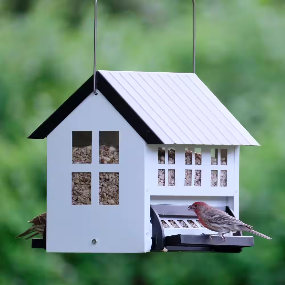 None Choice White Metal Hopper Bird Feeder