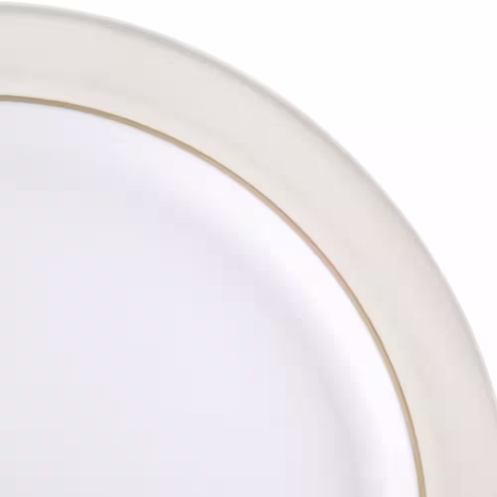 Denby Natural Canvas White Dinner Plate