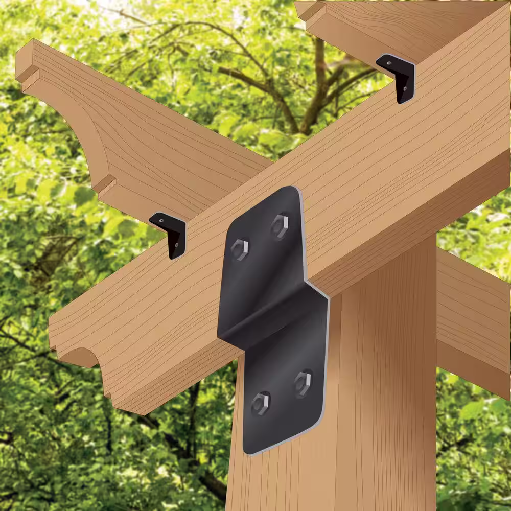 NUVO IRON 2 in. Black Galvanized Steel Traditional Rafter Clips (12-Pack)