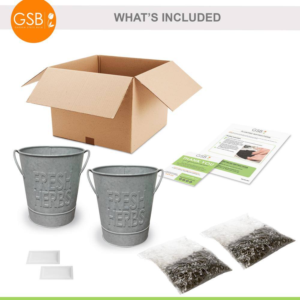 Garden State Bulb Herb Garden Kit with Aged Zinc Metal Planter (Cat Grass and Cat Nip) (2-Pack)