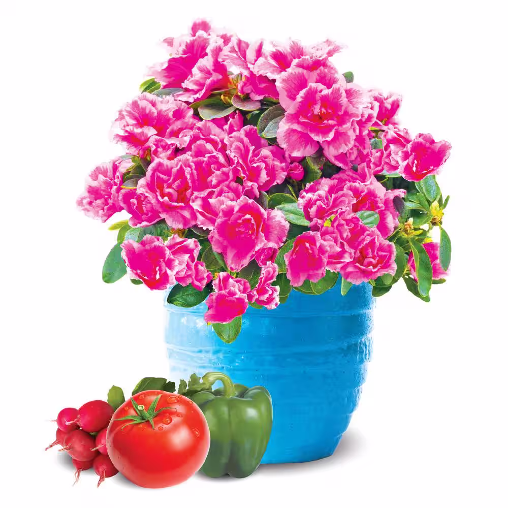 Burpee Natural & Organic 8 qt. Potting Mix (4-Pack)