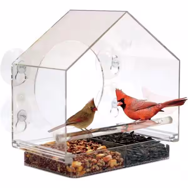None Clear Plastic Window Bird Feeder with Powerful Suction