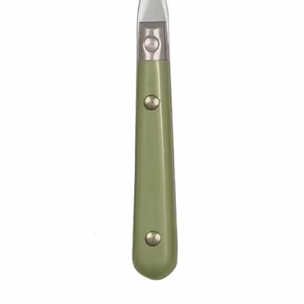 None LePrix 20-Piece Service for 4-Spring Green