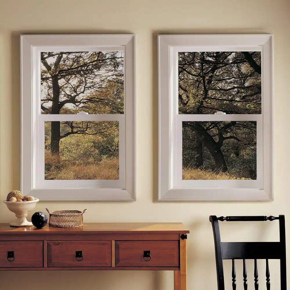 JELD-WEN 23.5 in. x 47.5 in. V-2500 Series White Vinyl Single Hung Window with Fiberglass Mesh Screen