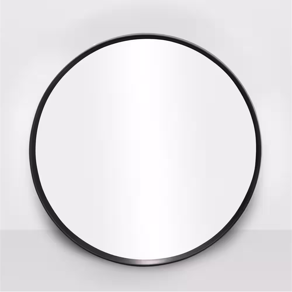 None Medium Round Black Hooks Contemporary Mirror (27.5 in. H x 27.5 in. W)