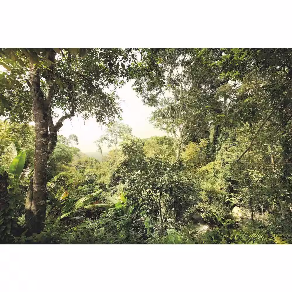Komar 145 in. H x 98 in. W Wilderness Wall Mural