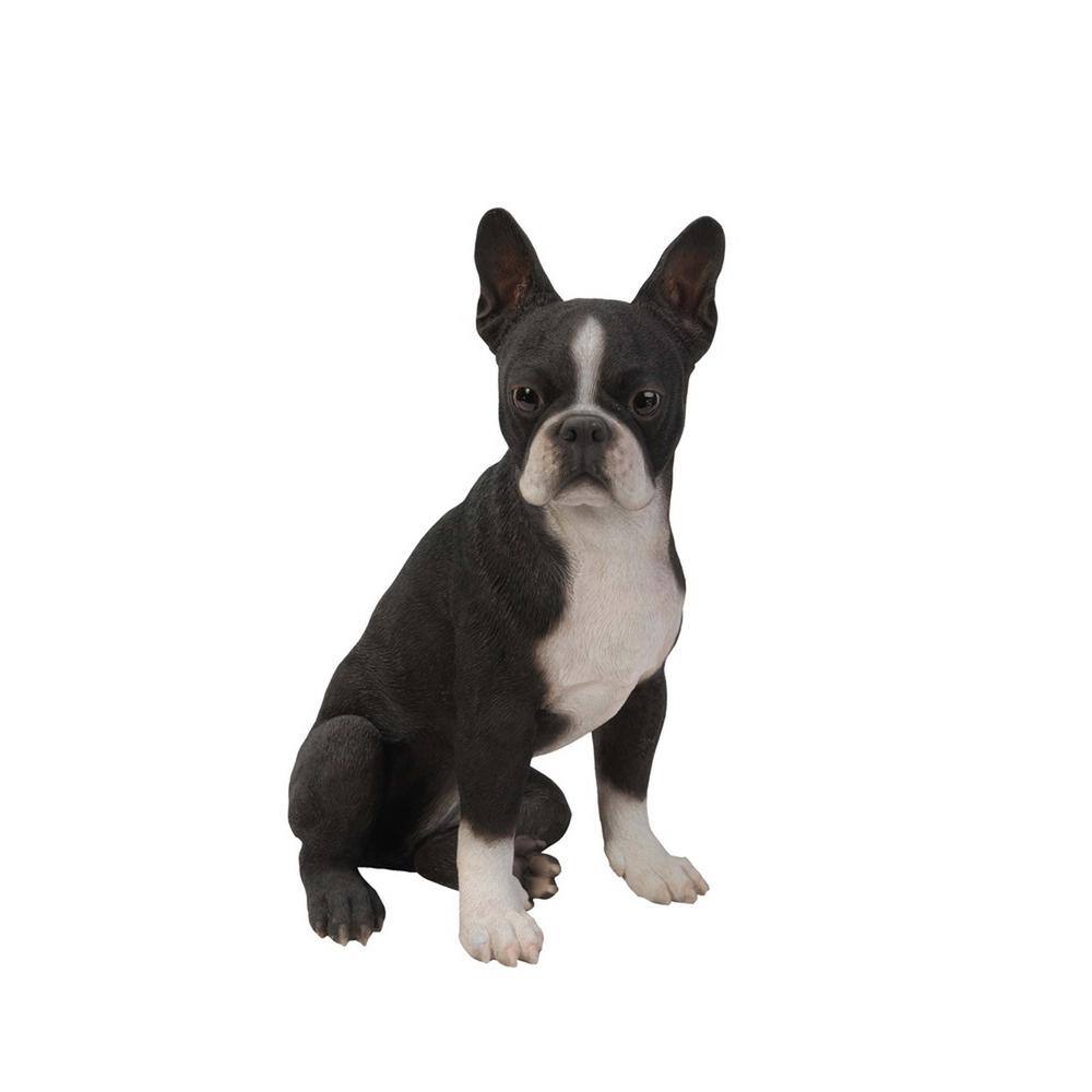 Hi-Line Gift Boston Terrier Statue