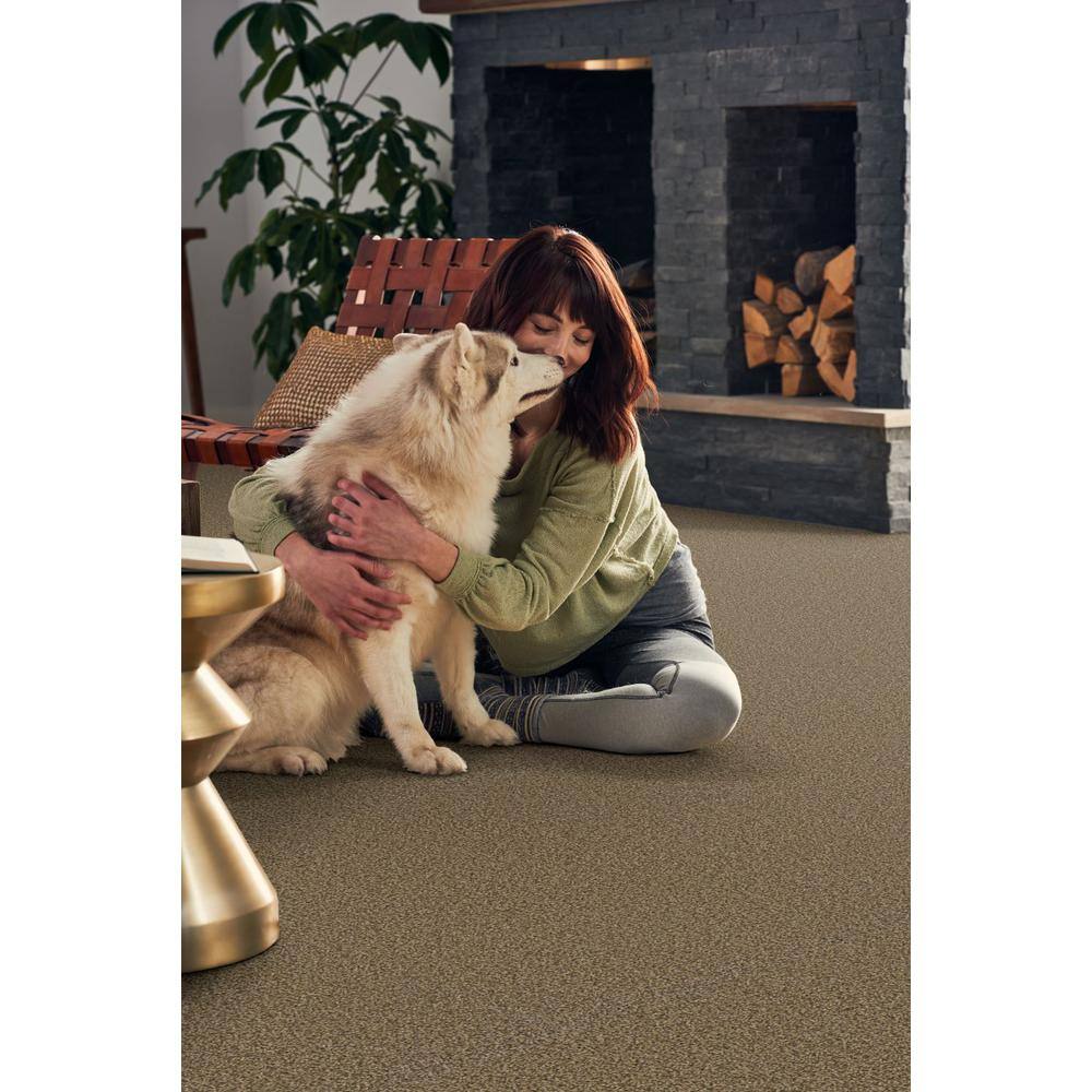 Home Decorators Collection Pioneer - Lasso - Brown 73.5 oz. SD Polyester Texture Installed Carpet