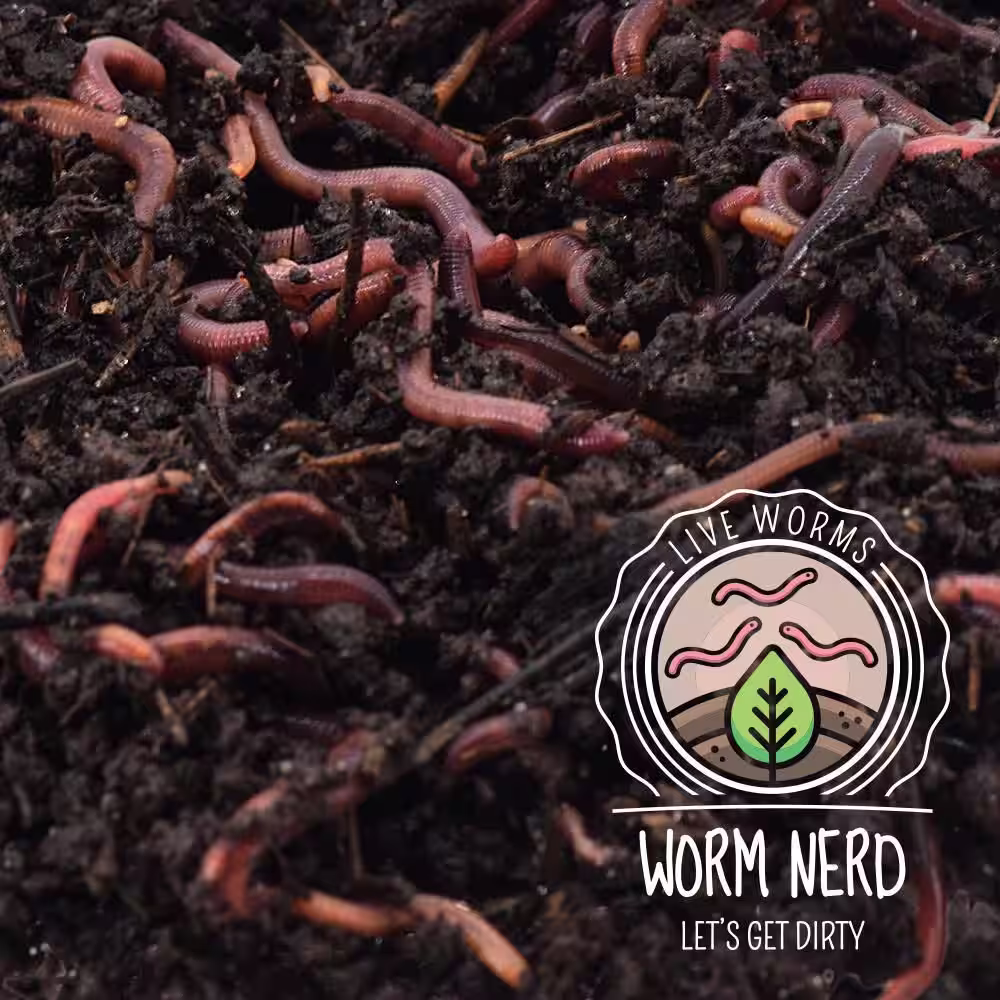 Arcadia Garden Products Worm Nerd Live Composting Worm Mix (250 Worms)