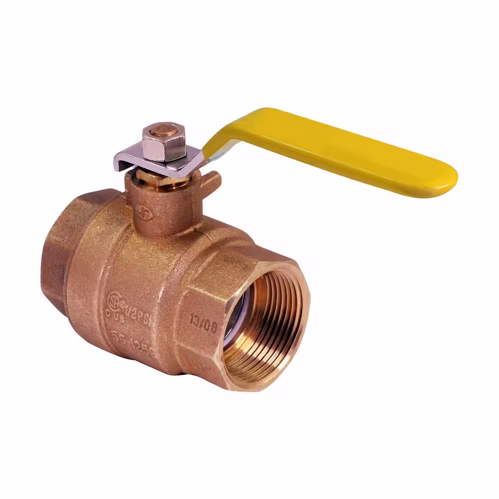 The Plumber's Choice 2 in. FIP Brass Gas Ball Valve (Pack of 5)