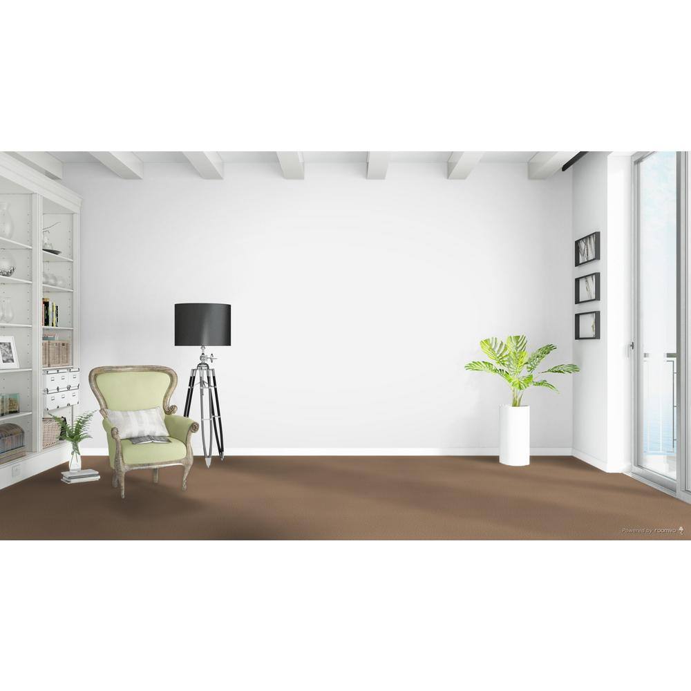 Home Decorators Collection Delicate Flower  - Poppy - Beige 40 oz. SD Polyester Texture Installed Carpet