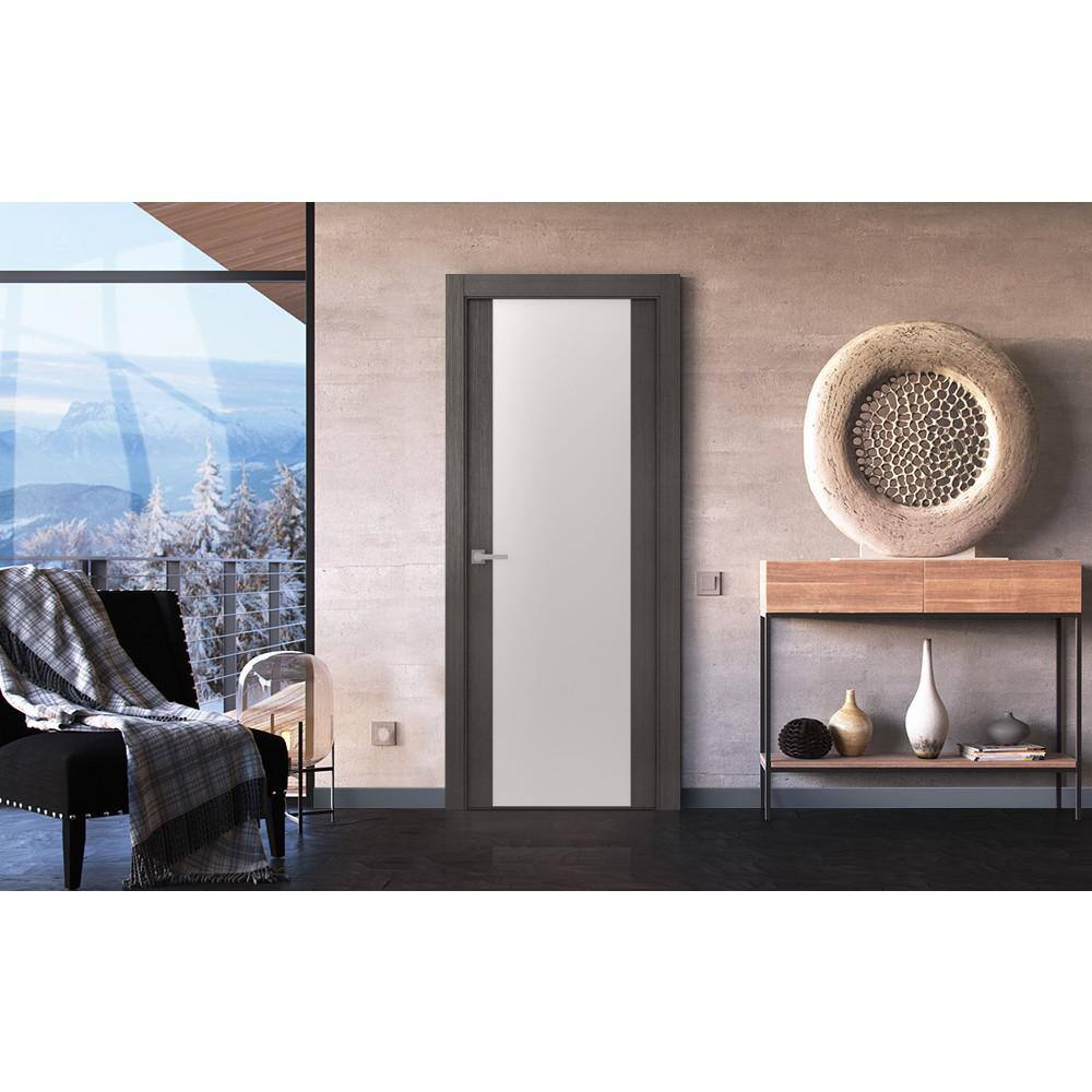 Belldinni Avanti 202 18 in. x 80 in. Full Lite SolidCore Frosted Glass Black Apricot Finished Wood Composite Interior Door Slab