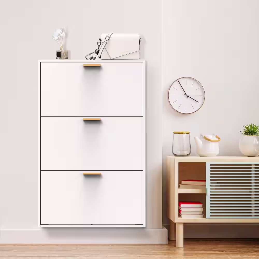 None 47.64 in. H x 27.56 in. W White Steel Shoe Storage Cabinet with Flip Door