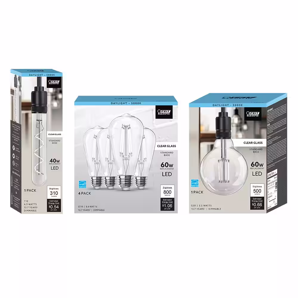 Feit Electric 60-Watt Equivalent ST19 (4-Pack), G30 (2-Pack) and 40-Watt T10L E26 Vintage Edison LED Light Bulbs Bundle Set Daylight