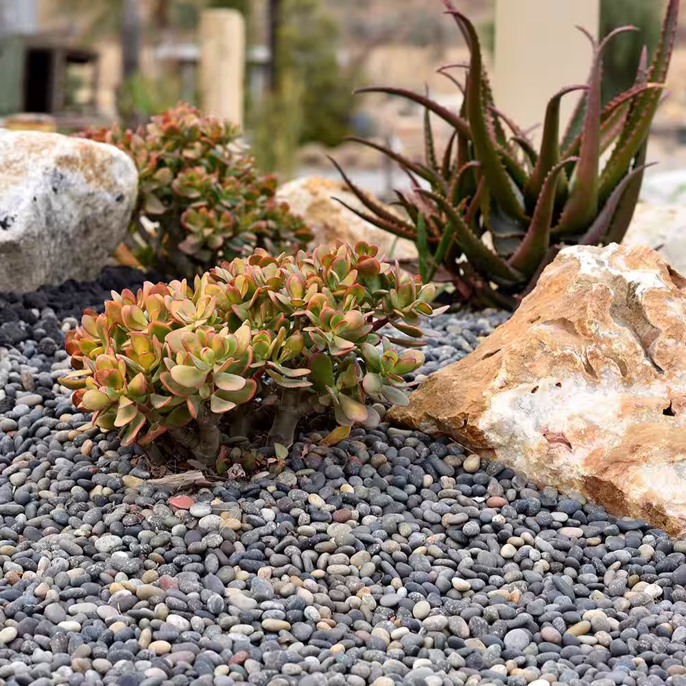 Southwest Boulder & Stone 0.50 cu. ft. 3 in. to 5 in. Mixed Mexican Beach Pebble Smooth Round Rock for Gardens, Landscapes and Ponds