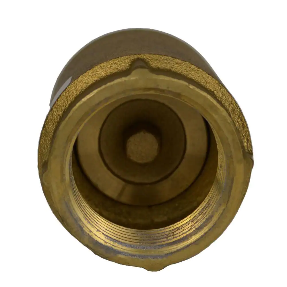 Everbilt 1-1/4 in. Brass Check Valve