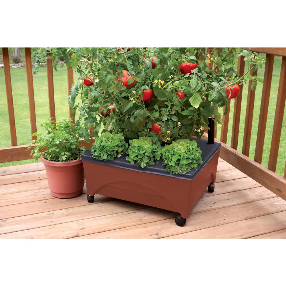CITY PICKERS 24.5 in. x 20.5 in. Patio Raised Garden Bed Grow Box Kit with Watering System and Casters in Terra Cotta