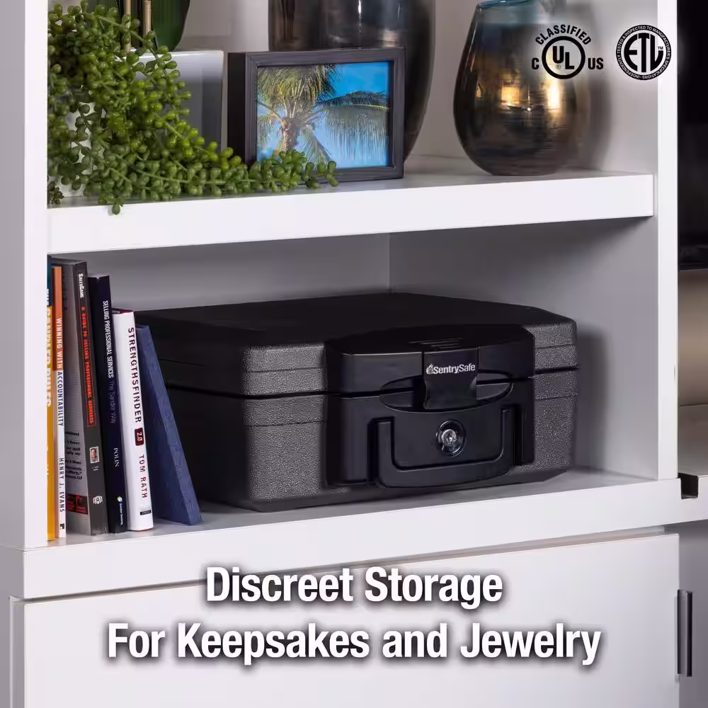 SentrySafe 0.17 cu. ft. Fireproof and Waterproof Safe Box