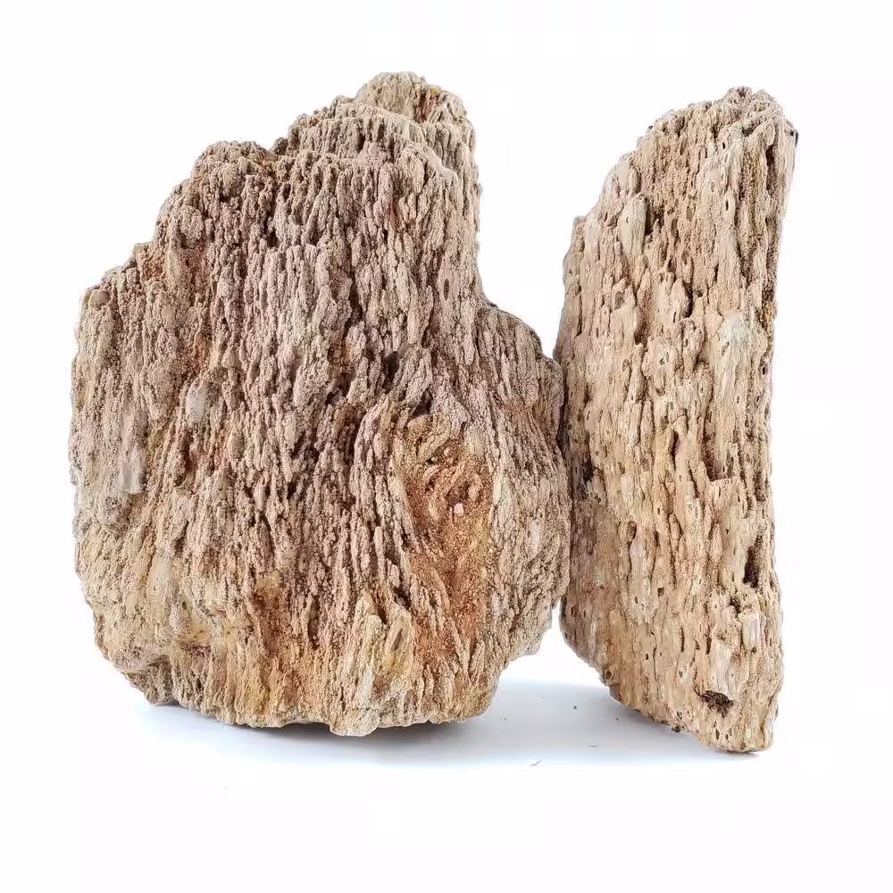 Lifegard Petrified Burmese Tree Decorative Stone Medium Size 5 in. to 10 in. 44 lbs. Box approx 2 cu. ft.