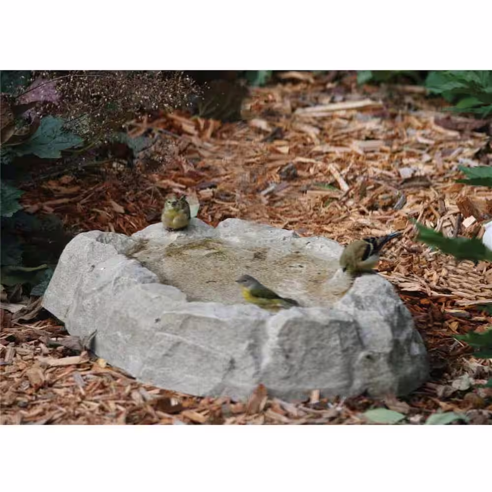 BIRDS choice Rocky Mountain Ground Level Bird Bath