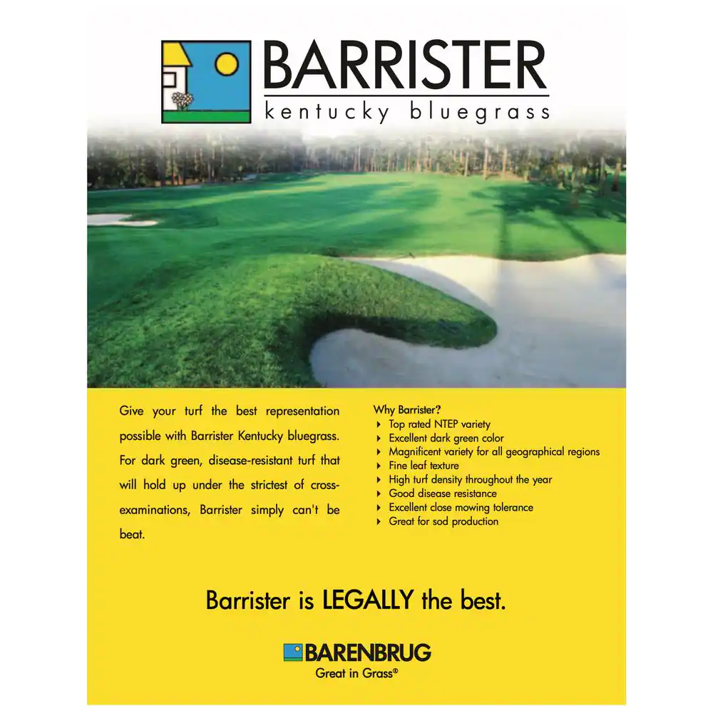 Barenbrug 50 lb. Barrister Kentucky Bluegrass Seed