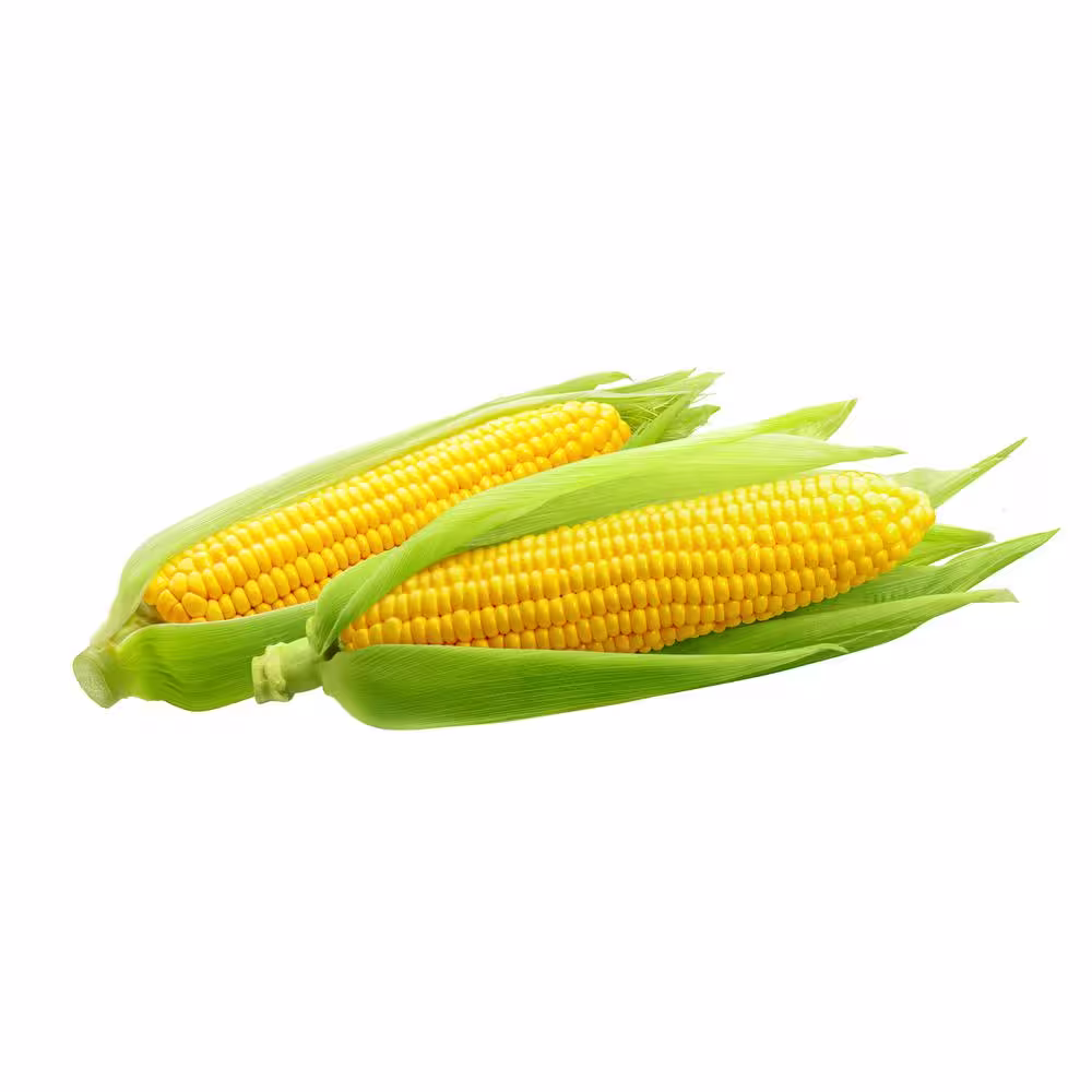 Maze 7.1 Gal. Corn Bags (120-Count)