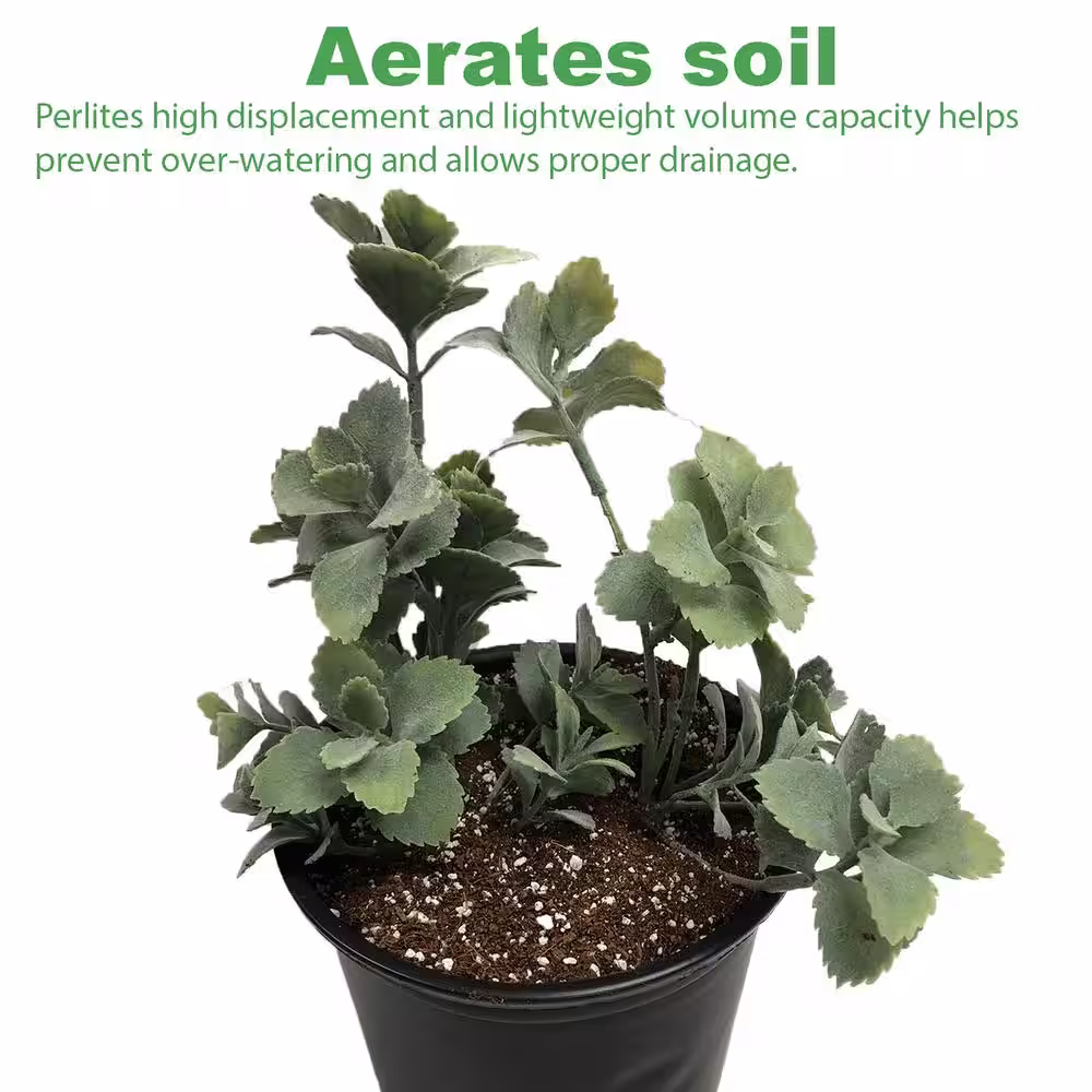 Viagrow 1 cu. ft./29.9 Qt. Organic White Perlite Planting Soil Additive and Growing Medium (2-Pack)