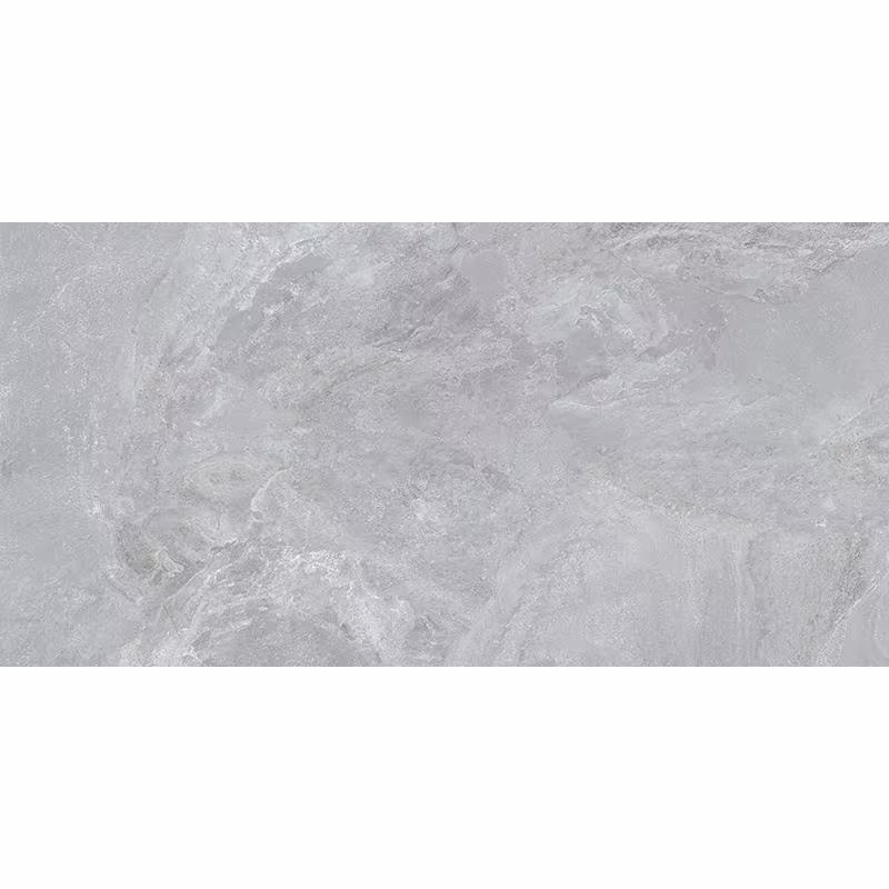 Apollo Tile Splendor Gray 23.7 in. x 47.25 in. Matte Porcelain Rectangular Wall and Floor Tile (15.55 sq. ft./case) (2-pack)