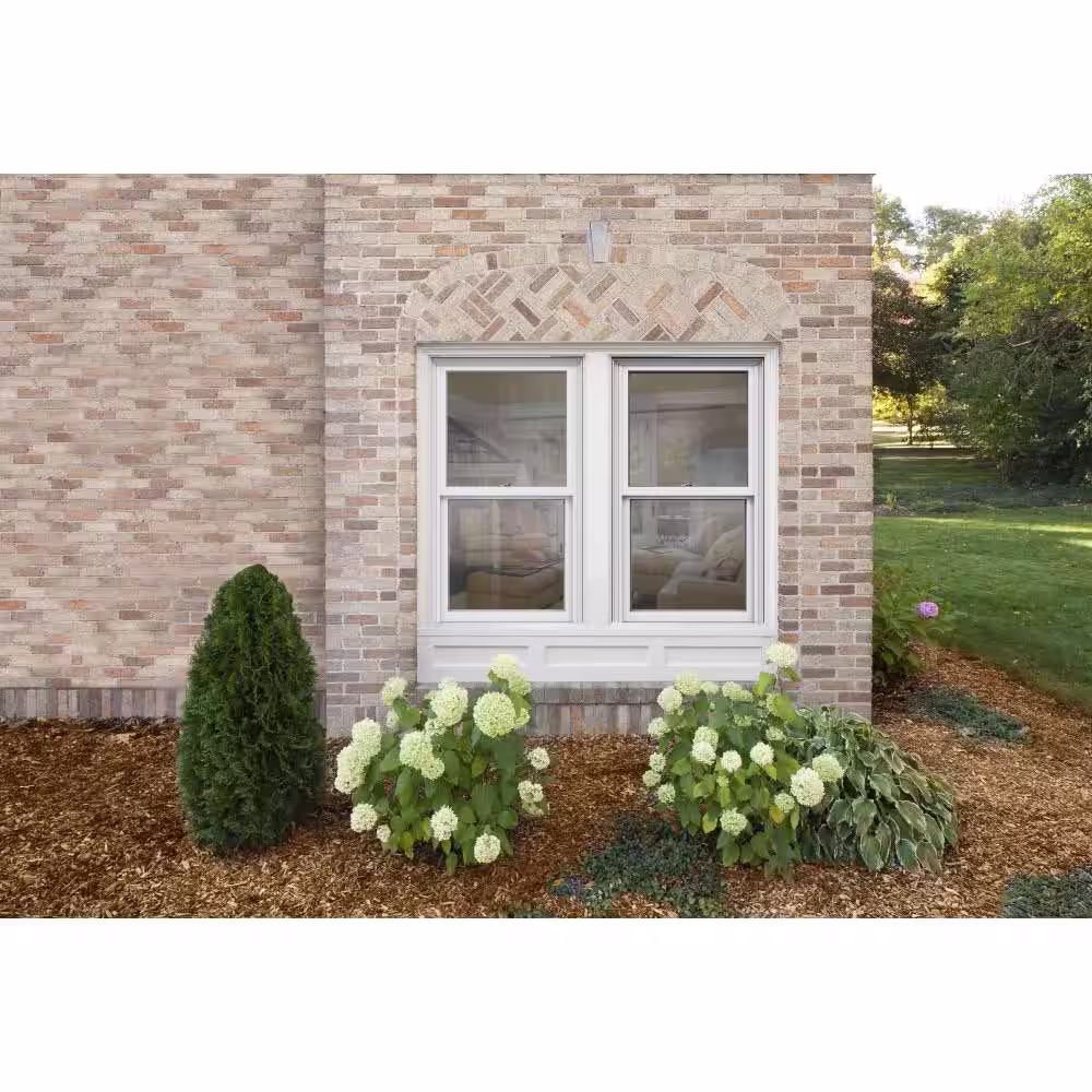 JELD-WEN 33.375 in. x 60 in. W-2500 Series Black Painted Clad Wood Double Hung Window w/ Natural Interior and Screen