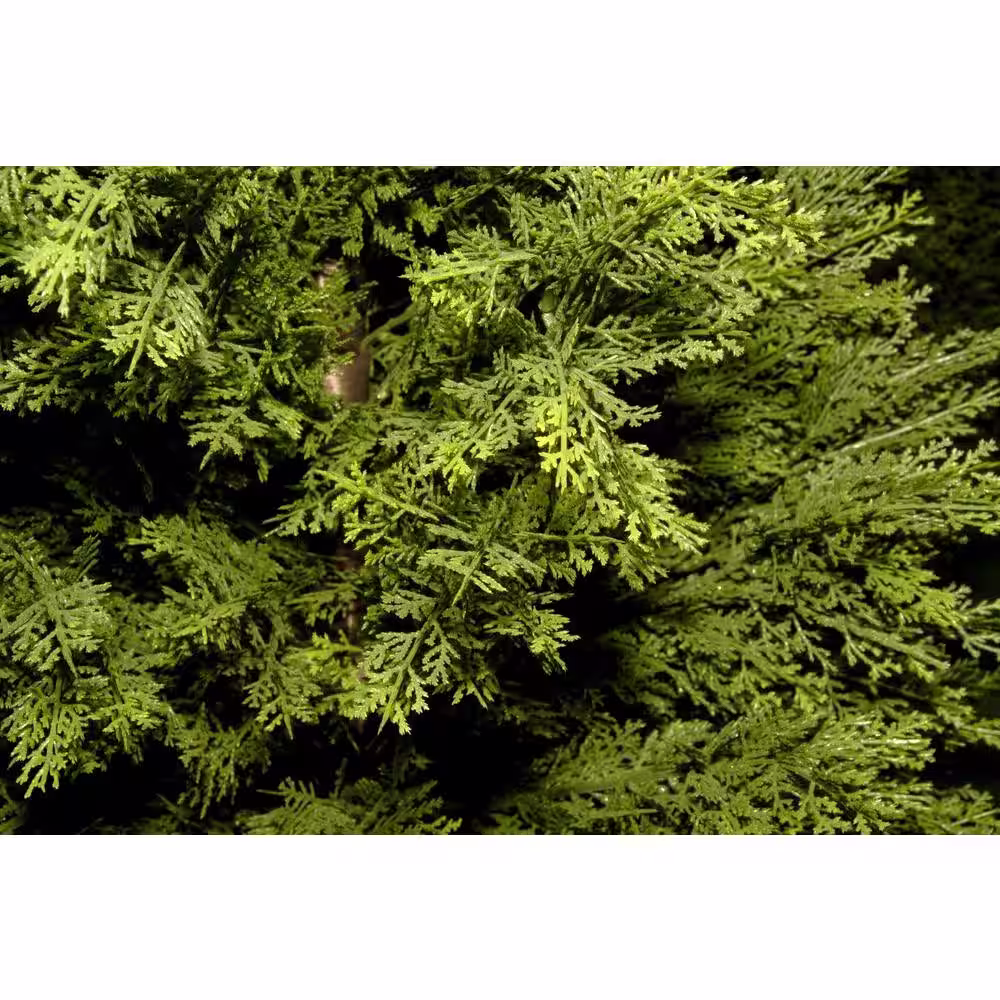 National Tree Company 3 ft. Artificial Arborvitae Tree in Dark Green Round Growers Pot